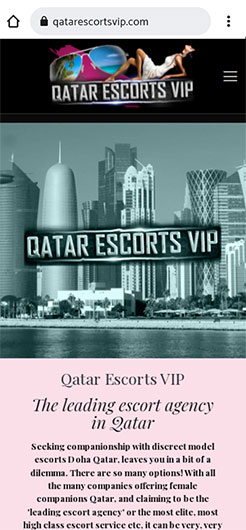Pengiring Qatar VIP